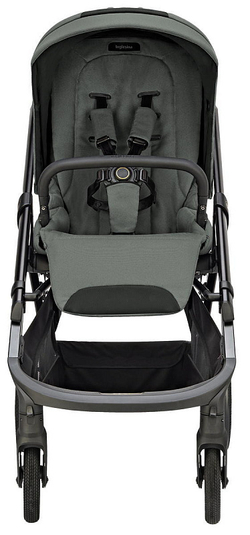 Прогулочная коляска Inglesina Aptica XT 2025 Taiga Green