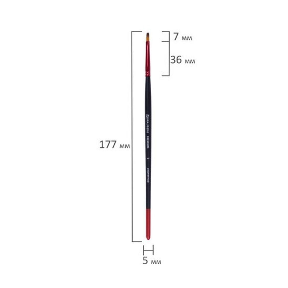 Кисть синтетика плоская № 2, Brauberg Premium