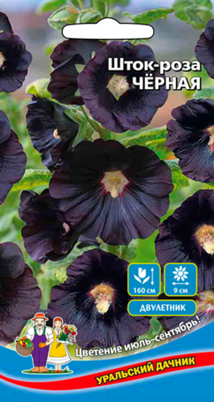 Шток-роза "G. Чёрная" 10шт., Россия.
