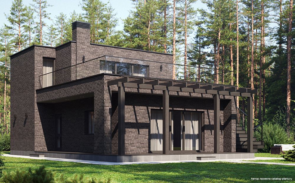 Кирпич клинкерный Plinfa Iron 2804, 270x85x50