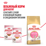 Royal Canin Sphynx Kitten Киттен Сфинкс Корм сухой для котят породы Сфинкс в возрасте от 4 до 12 месяцев 400г