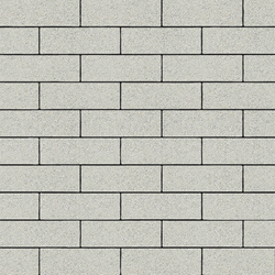 Тротуарная плитка ПРЯМОУГОЛЬНИК 300х100 мм - Стандарт Белый