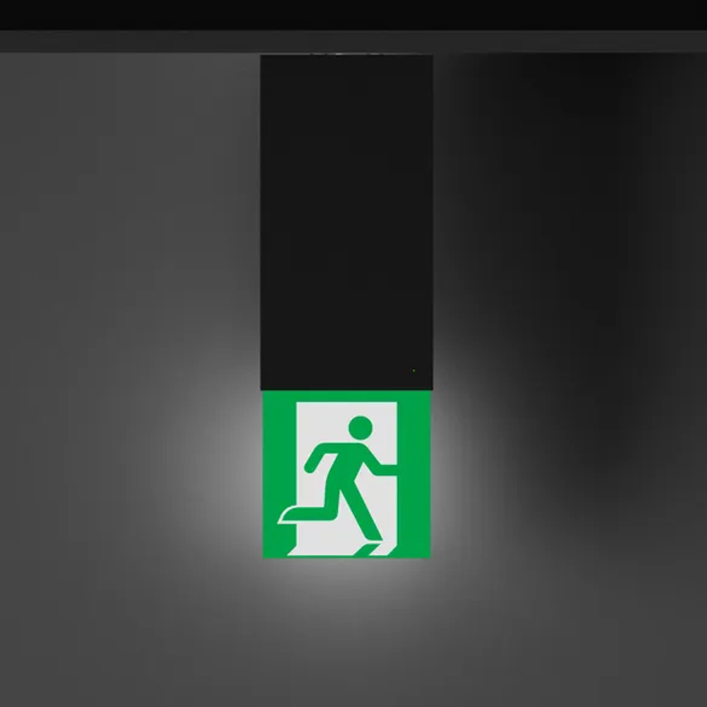 Световой указатель EMG-MARK-L-3H-BK (Arlight, IP40 Металл, 5 лет) 059802