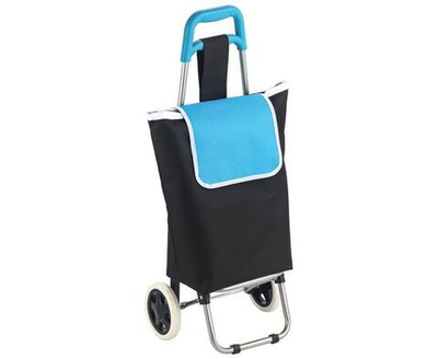 Сумка тележка на колесах хозяйственная, WR3030 "Бриз", 20 кг