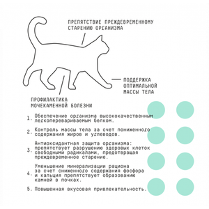 Сухой полнорационный корм AJO Cat Sterile для активных стерилизованных кошек с высоким содержанием белка