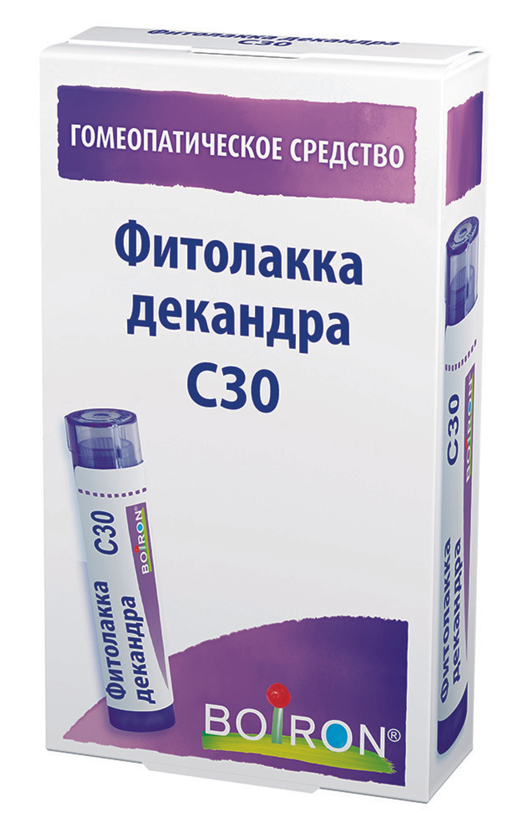 ФИТОЛАККА ДЕКАНДРА C30