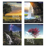 Тетрадь 36 л., А5, клетка, Alingar "Nature power", скрепка, второй блок 60г/м2, мелованный картон (стандарт), 4 дизайна в пленке т/у