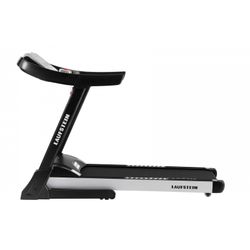 Беговая дорожка  Laufstein Enigma