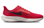 Кроссовки Nike Air Zoom Pegasus 39