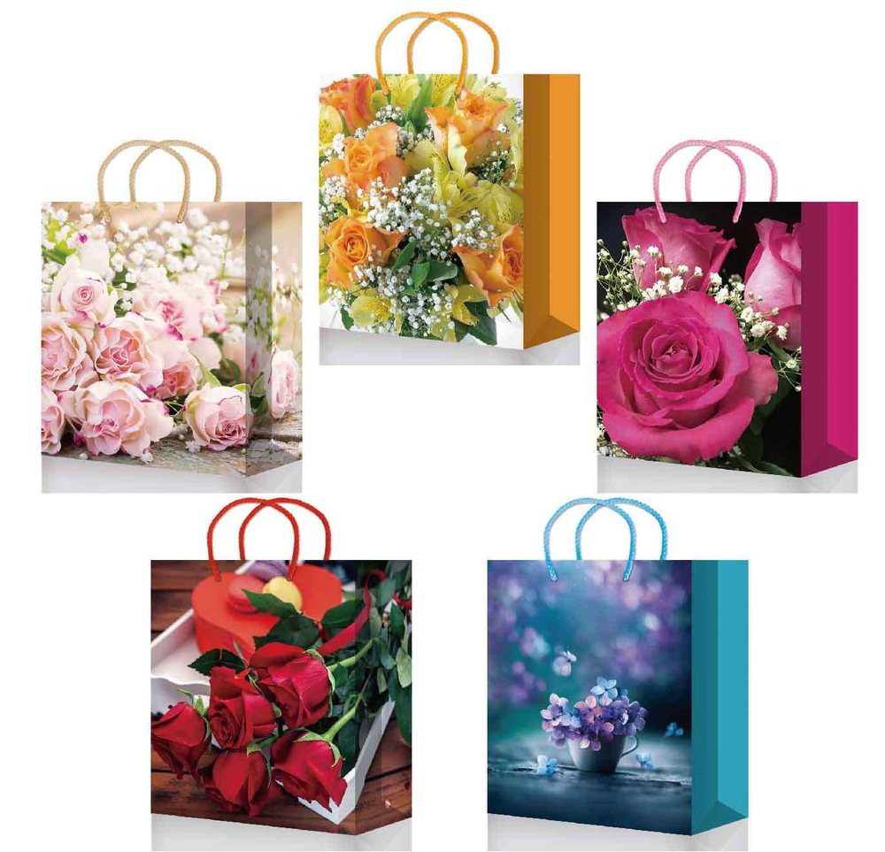 МегаМаг Пакет 2003 M Premium25, подарочный, ламинированный, 180*227*100