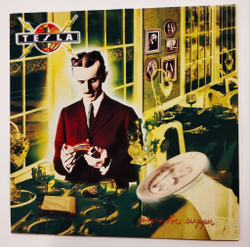 Винтажная виниловая пластинка LP Tesla Psychotic Supper (Germany 1991)