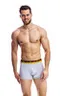 Мужские трусы BB33 Серый
