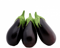 Боггарт F1 семена баклажана (Гавриш)