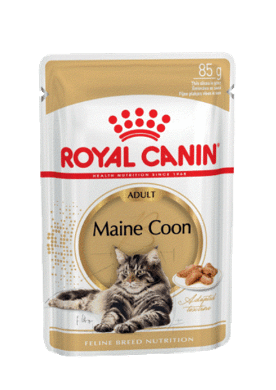Роял Канин Main Coon Adult в соус 85гр.