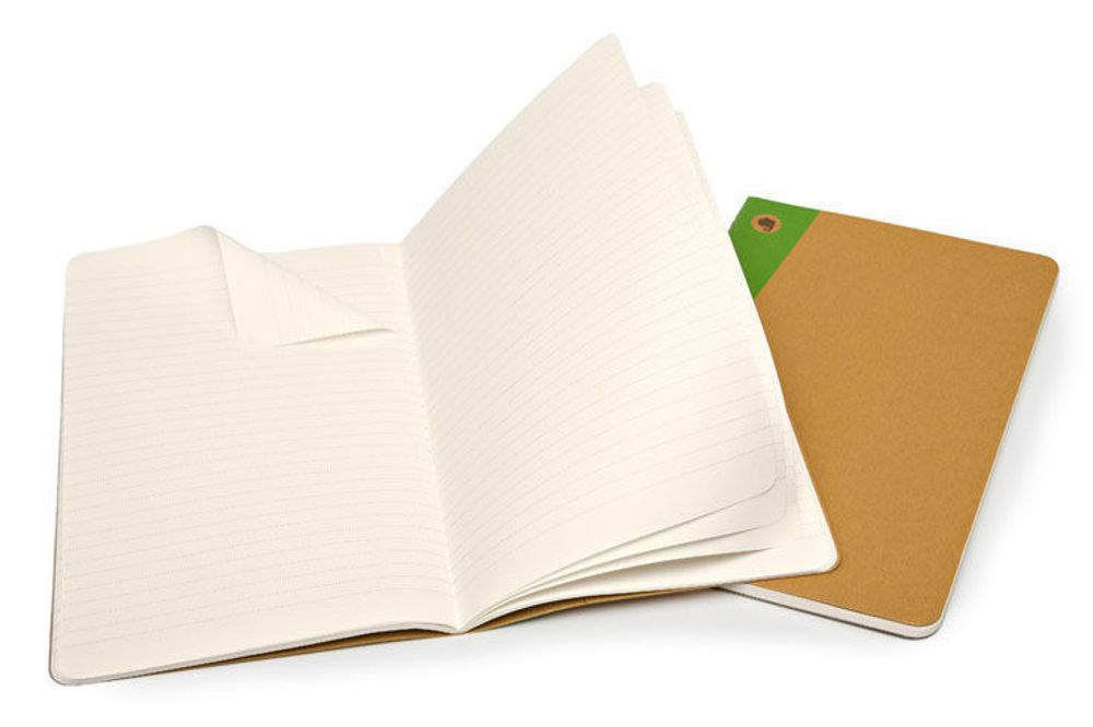 Блокнот Moleskine Evernote Large 130х210мм 80стр картон линейка бежевый 2шт (SKQP416EVER)