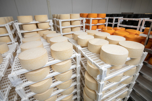 Проект оборудование для производства сыра