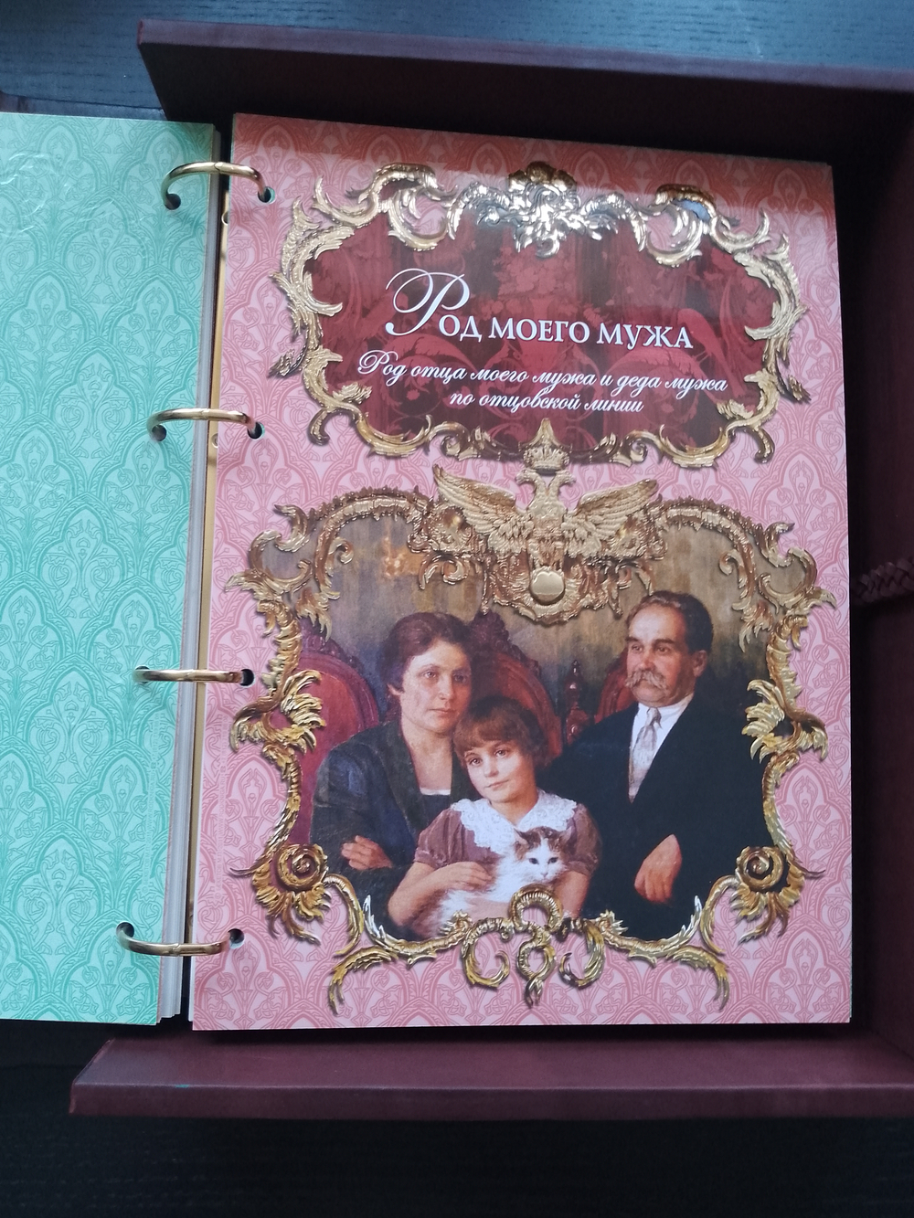 Большая семейная родословная книга "Столетие", натуральная кожа