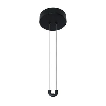 Потолочная чаша с блоком питания LED 60W 1900/06 PL-60 чёрный Formica Divinare