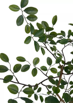 Дерево Миррайя 200 см в кашпо