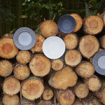 Тарелка «Арборесценс» мелкая;керамика;D=215,H=25мм; (Цвет: темно-серый)