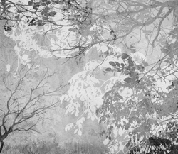 Коллекция VETVE