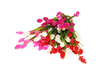 Букет клевера пластик