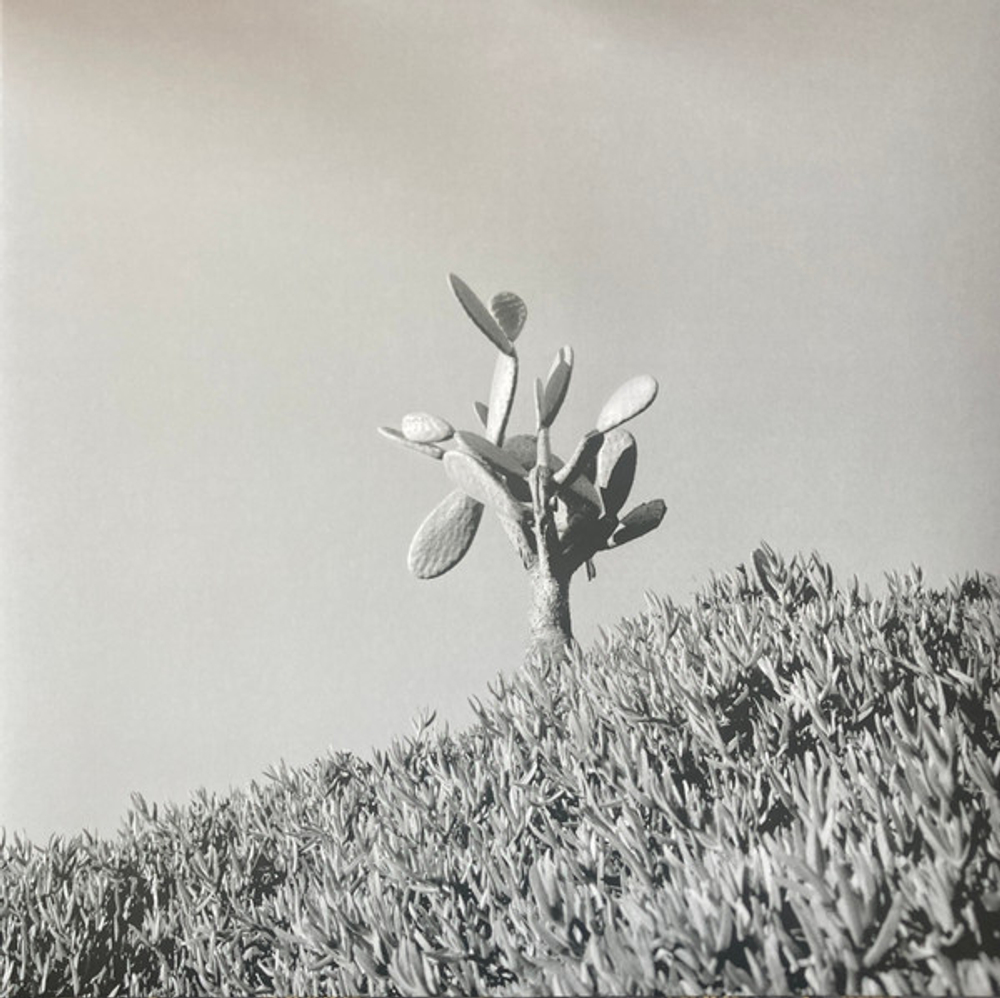 Sylvain Chauveau - Down To The Bone - An Acoustic Tribute to Depeche Mode