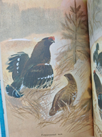 На ранней зорьке: Повести и рассказы