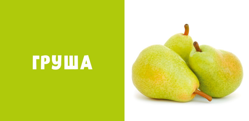 Первые слова. Фрукты и ягоды. Фотокнига