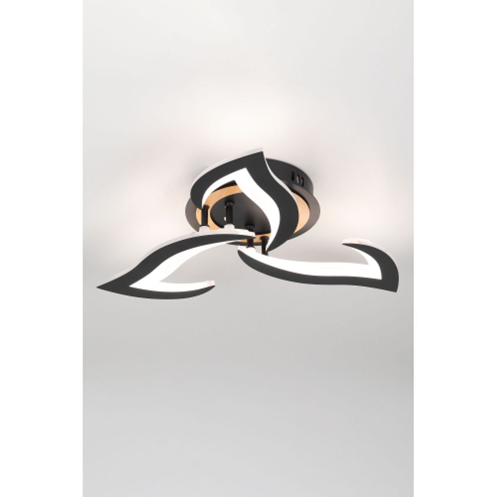 Светильник потолочный светодиодный Rivoli Cassandra 6194-703 LED 3000-6250К 42 Вт с пультом | Интерьерные светодиодные светильники