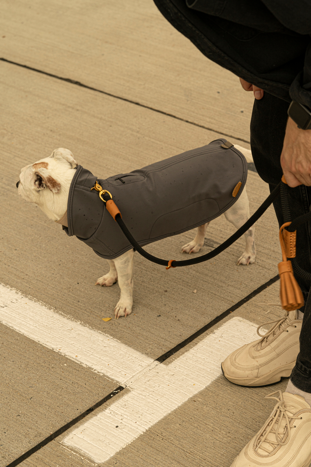 Попона "Пони-попони" темно-серая