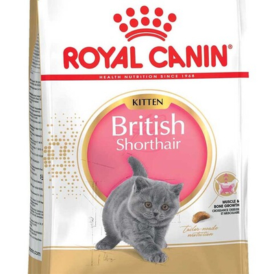 Royal Canin British Shorthair корм для котят породы Британская короткошерстная с курицей (Kitten)