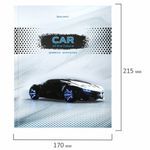 Дневник 1-4 класс 48 л., твердый, BRAUBERG, выборочный лак, с подсказом, "Авто Мечты", 106363