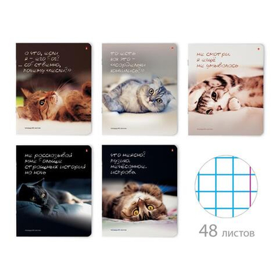 Тетрадь 48л. клет "Приколы. Кошачьи мечты" 5 видов (Альт)