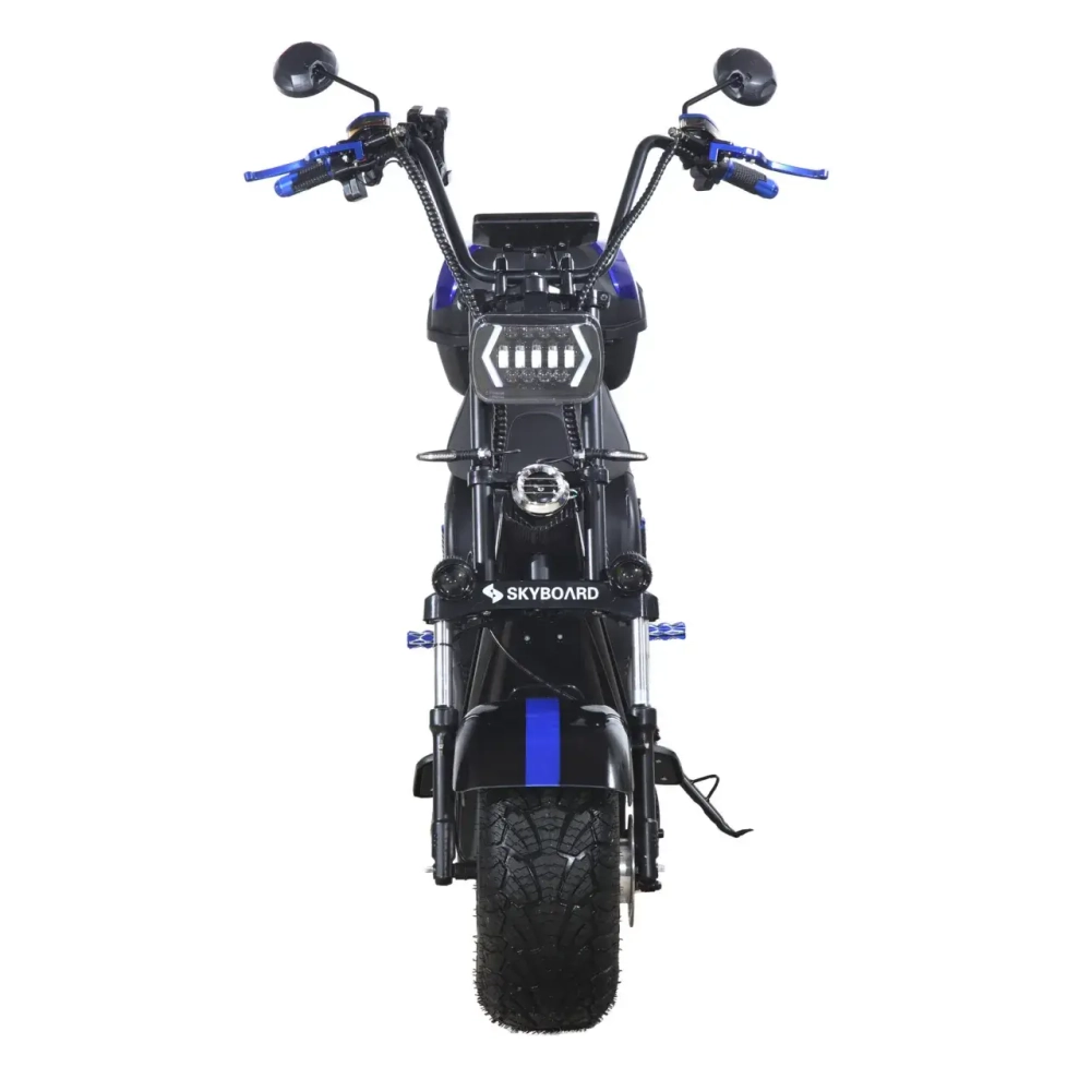 Электроскутер Skyboard BR30-2WD (Ural)