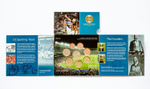 Ireland 2009 Year Set - Celebrating 125 Years of the GAA
