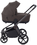 Детская коляска Rant Flex Therm Soft 3 в 1 с автокреслом Evomax Grey Shine Brown