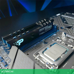 Оперативная память Patriot Signature Premium Line 16GB DDR5 PC5-44800 (PSP516G56002H1)