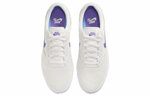 Кроссовки Nike Sb Chron 2