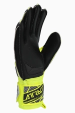 Вратарские перчатки Reusch Attrakt Silver Junior