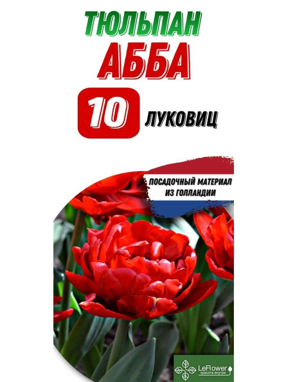Тюльпан Луковица, Абба, 10шт