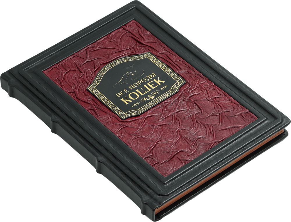 Все породы кошек