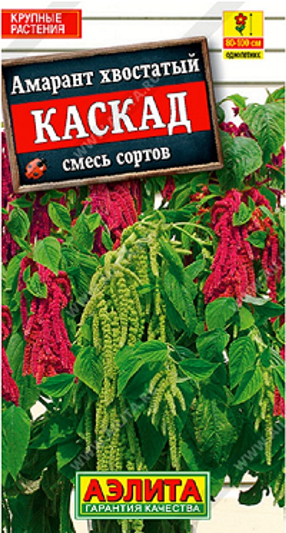 Амарант Каскад, смесь сортов
