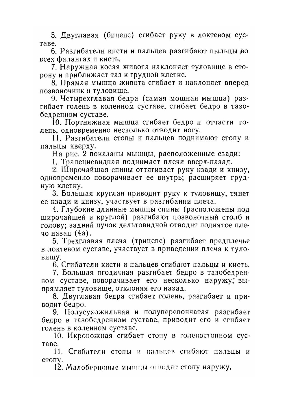 Упражнения с гантелями, амортизатором, гирями, штангой | Пустовойт Борис Григорьевич