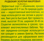 Рудбекия Золотая 0,2 г СМЦ-568