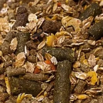 Спорт Белок с Фруктами