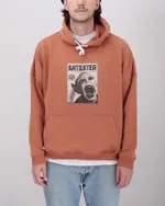 Худи Anteater Creepy Face Терракот