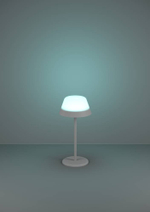 Аккумуляторная настольная лампа Eglo MEGGIANO 900978