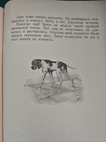 Кот и собака