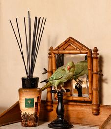 Koutoubia, аромадиффузор c палочками Limited editions, Baobab Collection